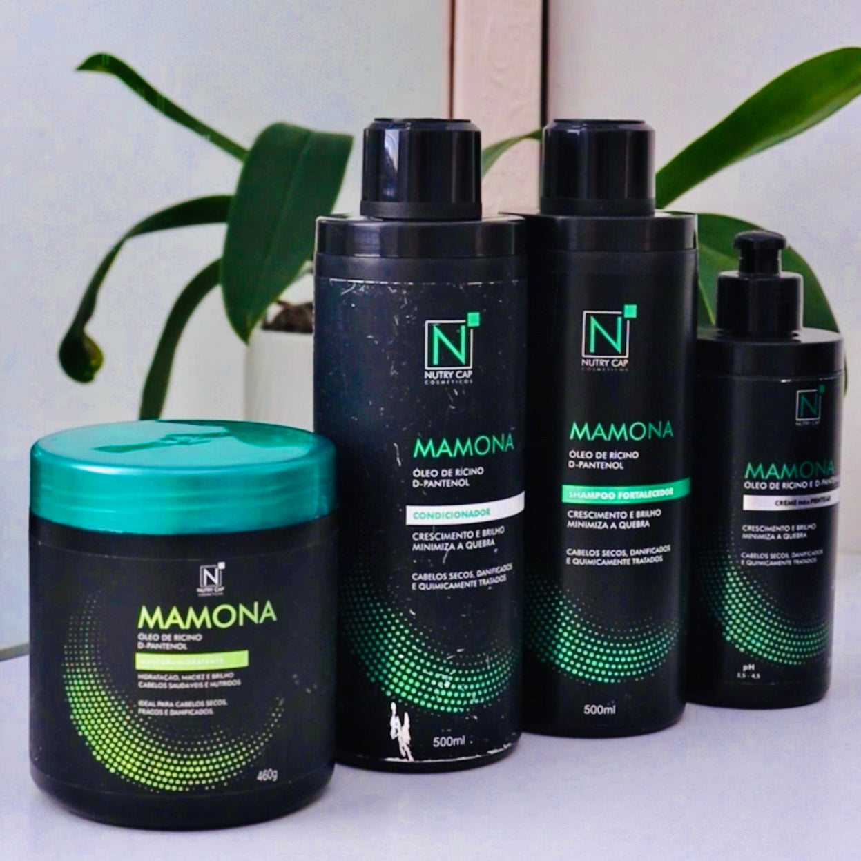 Kit Mamona Completo + Brinde Suplemento Vitamínico 2 meses – Nutry Cap